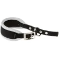 Нашийник Ferplast Ergocomfort CW15 / 32 Grey для собак, A: 26 ÷ 32 см, B: 15 мм