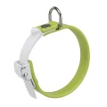 Еластичний нашийник з системою регулювання Ferplast Ergoflex C15 / 22 Green для собак, A: 18 ÷ 22 см, B: 15 мм