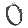 Нашийник Ferplast Ergocomfort C25 / 60 Grey для собак, A: 52 ÷ 60 см, B: 25 мм