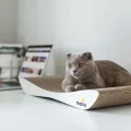 Кігтеточка-лежанка Say Meow Dream для котів, гофрокартон, 57×7×24 см