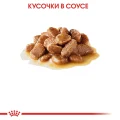 Вологий корм Royal Canin Mini Ageing 12+ для собак дрібних порід старше 12 років, шматочки в соусі, 85 г