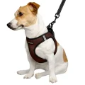 Шлея BronzeDog Sport Vest для собак з нейлону, неопрену і 3D сітки, коричневий, 43-53 см
