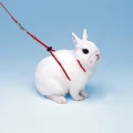 Регульована шлею Ferplast NY Rab Harness Rabbits Red для кроликів, червона