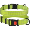 Нашийник BronzeDog Active, для собак, нейлоновий, фастекс пластик, салатовий, 43-66×2.5 см