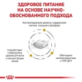Сухий корм Royal Canin Urinary S / O при сечокам'яній хворобі у собак, 13 кг