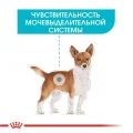 Сухий корм Royal Canin Mini Urinary Care для собак дрібних порід з чутливою сечовидільної системою, 1 кг
