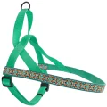 Шлея Coastal Ribbon Weave Harness для собак, темно-бірюзовий з кісточками, 48-58×2.5 см