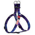 Шлея Waudog Nylon з QR-паспортом для собак, малюнок "NASA21", нейлон/пластик, розмір M, 20 мм/50-80 см