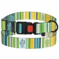 Нашийник BronzeDog Urban West, для собак, нейлоновий, фастекс пластиковий, салатовий, 25-33×1.6 см