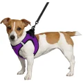 Шлея BronzeDog Sport Vest для собак з нейлону, неопрену і 3D сітки, фіолетовий, 24-26 см