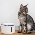 Поїлка-фонтан Petoneer Kitten/Puppy Water Dispenser FSW030-M автоматична, для собак і котів, біла, 1.9 л