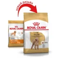 Сухий корм Royal Canin Poodle Adult для пуделів, 500 г
