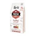 Сухий корм Brit Fresh Beef Pumpkin Puppy Large, для цуценят великих порід, 12 кг