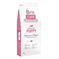 Сухий корм Brit Care GF Puppy Salmon & Potato, для цуценят, 12 кг