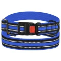 Нашийник BronzeDog Urban Mesh, для собак, нейлон і 3-D сітка, фастекс пластик, синій, 43-66×2.5 см
