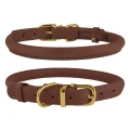 Нашийник BronzeDog Premium Crazy, для собак і котів, шкіряний, коньяк, 23-33×0.7 см