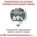 Сухий корм Royal Canin Mini Dental Care для зменшення утворення зубного каменю у собак дрібних порід, 3 кг