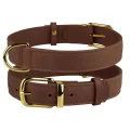 Нашийник BronzeDog Crazy, для собак, шкіряний, коньяк, 46-60×3 см