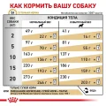 Сухий корм Royal Canin Urinary S / O Moderate Calorie при сечокам'яній хворобі у собак, 1.5 кг