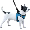 Шлея BronzeDog Sport Vest для собак з нейлону, неопрену і 3D сітки, блакитний, 29-34 см