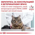 Сухий корм Royal Canin Urinary S / O при сечокам'яній хворобі у кішок, 3.5 кг