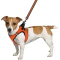 Шлея BronzeDog Mesh Vest для собак, сітчастий нейлон, помаранчевий, 42-47 см