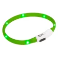Світиться нашийник Ferplast Cat Night Collar для кішок зі світлодіодним підсвічуванням