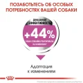 Сухий корм Royal Canin Mini Relax Care з заспокійливою дією для собак дрібних порід, 3 кг