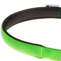 Нейлоновий нашийник з металевим ланцюжком Ferplast Daytona CSS25 / 65 Green для собак, A: 65 см, B: 25 см