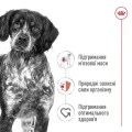 Сухий корм Royal Canin Medium Adult для дорослих собак середніх порід, 3.2 кг + 800 г
