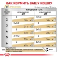 Вологий корм Royal Canin Urinary S / O Moderate Calorie при сечокам'яній хворобі у котів, шматочки в соусі, 85 г