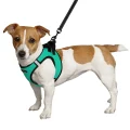 Шлея BronzeDog Sport Vest для собак з нейлону, неопрену і 3D сітки, ментоловий, 43-53 см