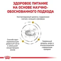 Сухий корм Royal Canin Urinary S / O Moderate Calorie при сечокам'яній хворобі у котів, 3.5 кг