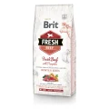 Сухий корм Brit Fresh Beef Pumpkin Puppy Large, для цуценят великих порід, 2.5 кг