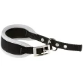 Нашийник Ferplast Ergocomfort CW25 / 46 Grey для собак з м'якою підкладкою і мікрорегулюванням