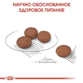 Сухий корм Royal Canin Mini Digestive Care при чутливому травленні у собак дрібних порід, 1 кг
