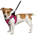 Шлея BronzeDog Sport Vest для собак з нейлону, неопрену і 3D сітки, рожевий, 34-42 см
