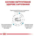 Сухий корм Royal Canin Anallergenic при харчовій алергії у собак, 8 кг