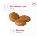 Сухий корм Royal Canin Medium Adult для дорослих собак середніх порід, 3.2 кг + 800 г