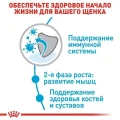 Сухий корм Royal Canin Giant Junior для цуценят гігантських порід, 15 кг