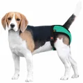 Труси гігієнічні BronzeDog Mesh для собак, нейлон з 3D сіткою, регульовані, ментоловий, XS