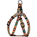 Шлея BronzeDog Tribal для собак, нейлон, принт гуцульський, помаранчевий, 28-40 см