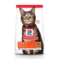 Сухий корм Hill's Science  Plan Adult для котів, з ягням і рисом, 3 кг