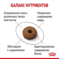 Сухий корм Royal Canin Appetite Control Care для стерилізованих котів, 3.5 кг