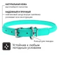 Нашийник Waudog Glamour круглий, діаметр 13 мм, довжина 53-61 см, ментоловий