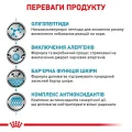 Сухий корм Royal Canin Anallergenic при харчовій алергії у собак, 8 кг