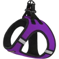 Шлея BronzeDog Sport Vest для собак з нейлону, неопрену і 3D сітки, фіолетовий, 24-26 см