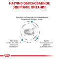 Сухий корм Royal Canin Skin Care Adult при захворюванні шкіри у собак, 11 кг