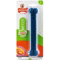 Іграшка кістка жувальна Nylabone Moderate Chew Dental Bone L, для собак до 23 кг
