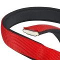 Нейлоновий нашийник Ferplast Daytona C30 / 55 Red для собак, червоний, A: 47x55 см, B: 30 мм
